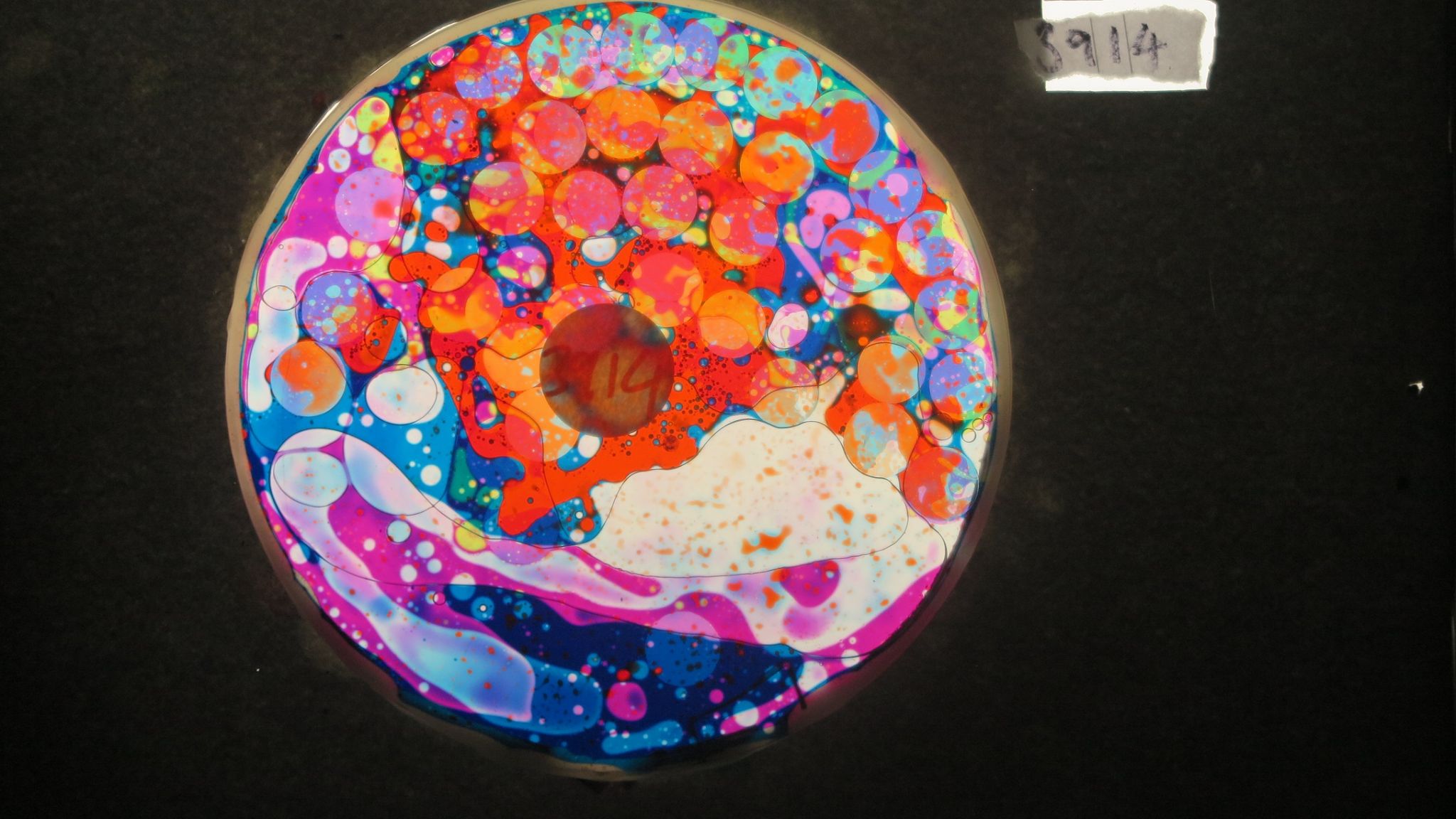 BV3914 bubble vision oil wheel